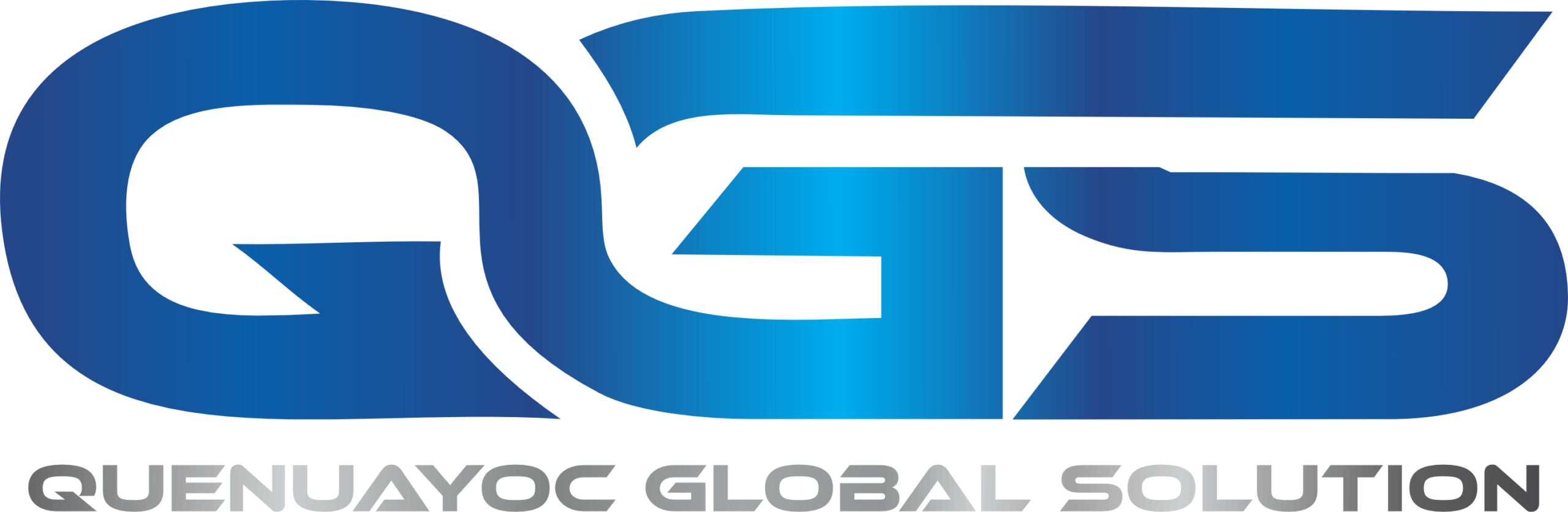 Logo QGS png